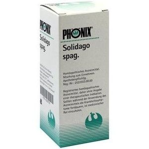 PHÖNIX SOLIDAGO spag.Mischung