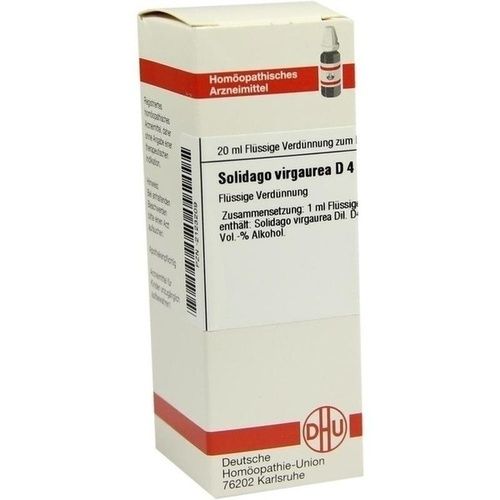 SOLIDAGO VIRGAUREA D 4 Dilution