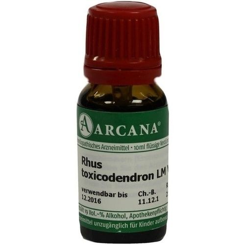 RHUS TOXICODENDRON LM 6 Dilution